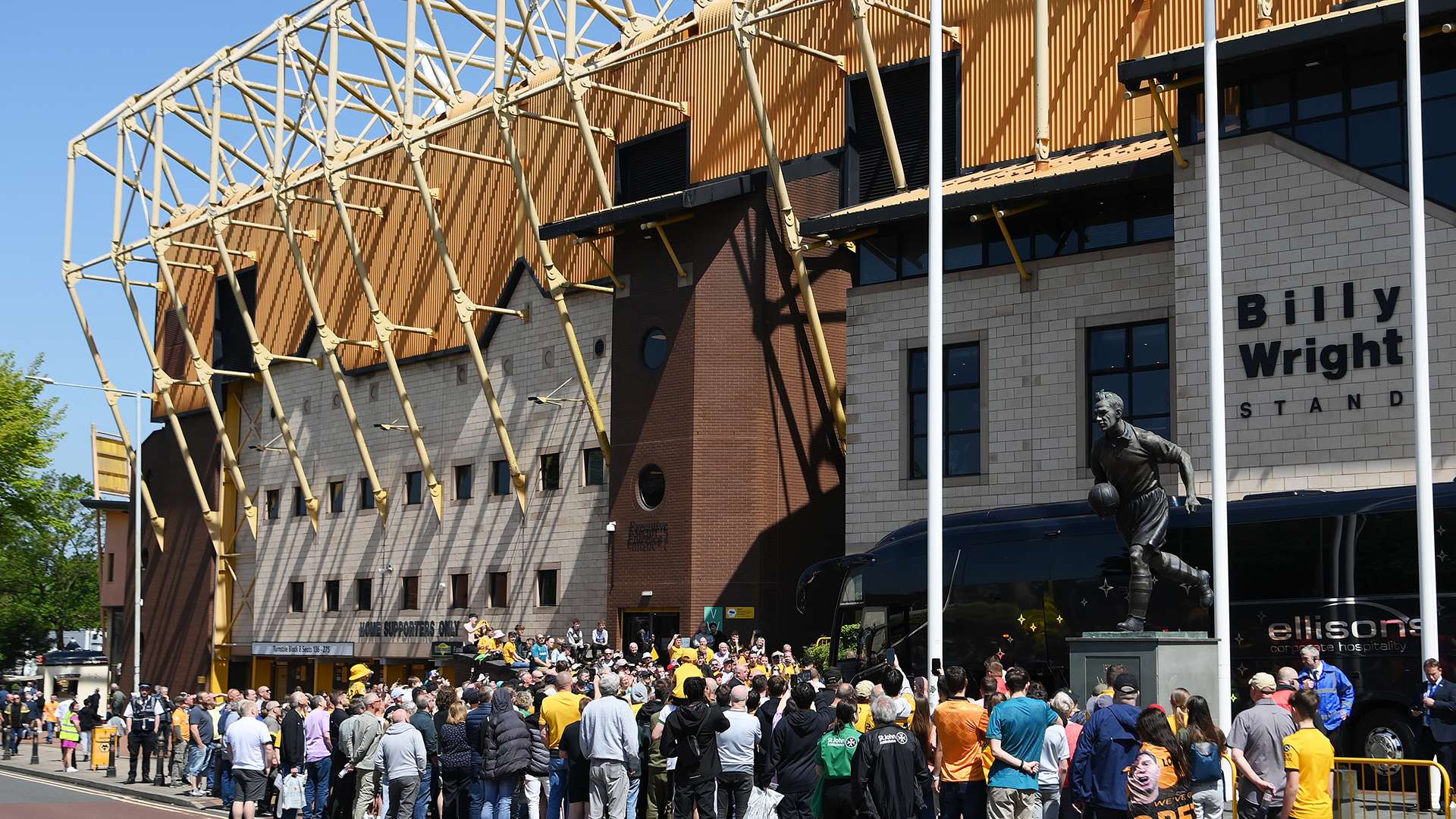 扬科维奇自 扬科维奇自